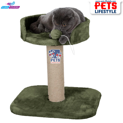 Furrlovers Activity Kitten Cat Tree  Hanging Ball | Top Seat | Jute Rope Scratching Post