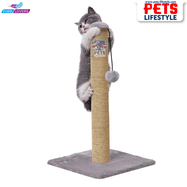 Cat Scratching Post Tree with Dangling Ball (16 x 14)