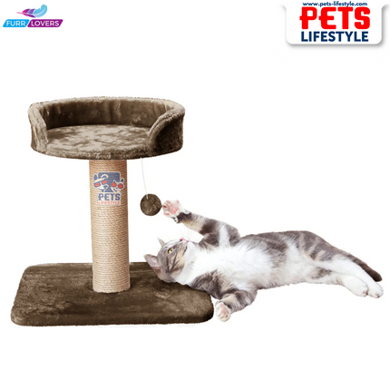 Furrlovers Activity Kitten Cat Tree  Hanging Ball | Top Seat | Jute Rope Scratching Post