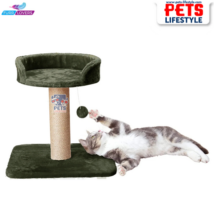 Furrlovers Activity Kitten Cat Tree  Hanging Ball | Top Seat | Jute Rope Scratching Post