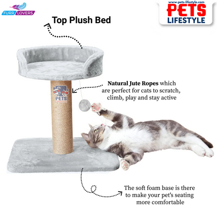 Furrlovers Activity Kitten Cat Tree  Hanging Ball | Top Seat | Jute Rope Scratching Post