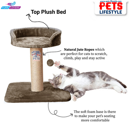 Furrlovers Activity Kitten Cat Tree  Hanging Ball | Top Seat | Jute Rope Scratching Post