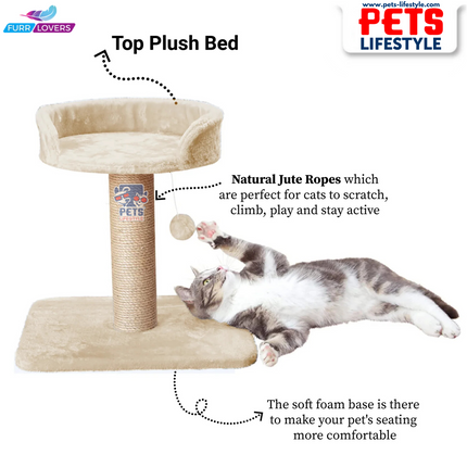 Furrlovers Activity Kitten Cat Tree  Hanging Ball | Top Seat | Jute Rope Scratching Post
