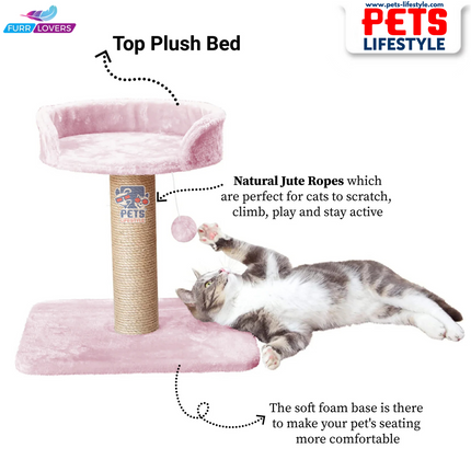 Furrlovers Activity Kitten Cat Tree  Hanging Ball | Top Seat | Jute Rope Scratching Post