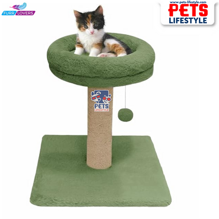 FurRLOVERS  Bolster Top Cat Tree Scratching Post Tower for Kittens and Cats