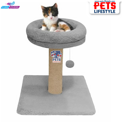 FurRLOVERS  Bolster Top Cat Tree Scratching Post Tower for Kittens and Cats