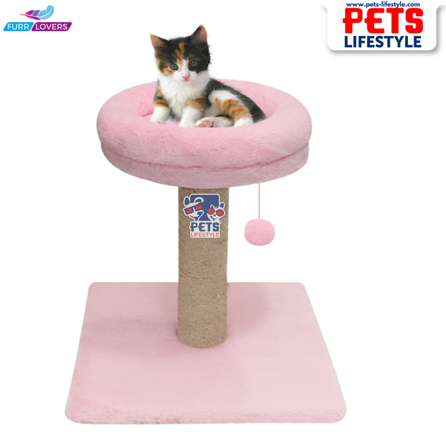 Canine Desk Bolster Top Cat Tree Scratching Post Tower for Kittens and Cats