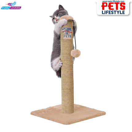 Cat Scratching Post Tree with Dangling Ball (16 x 14)