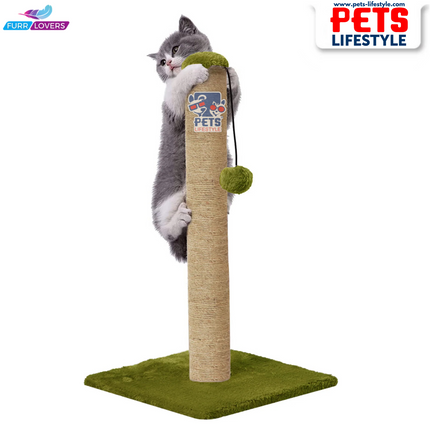 Cat Scratching Post Tree with Dangling Ball (16 x 14)