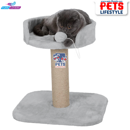Furrlovers Activity Kitten Cat Tree  Hanging Ball | Top Seat | Jute Rope Scratching Post