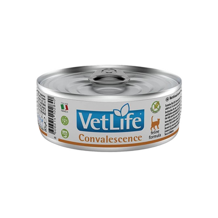 Farmina Vet Life Convalescence Wet Cat Food 85 g