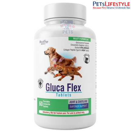 Gluca Flex Tablets for Dogs and Cats – 60 Palatable Chewable Joint & Cartilage Support Tablets by Medilogy Biotech | PetsLifestyle India