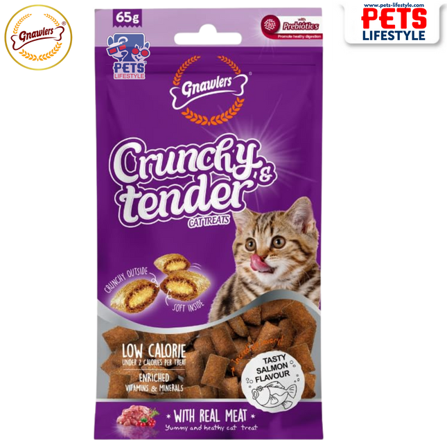 Gnawlers Crunchy & Tender Cat Treats – Tasty Salmon Flavour (65g)
