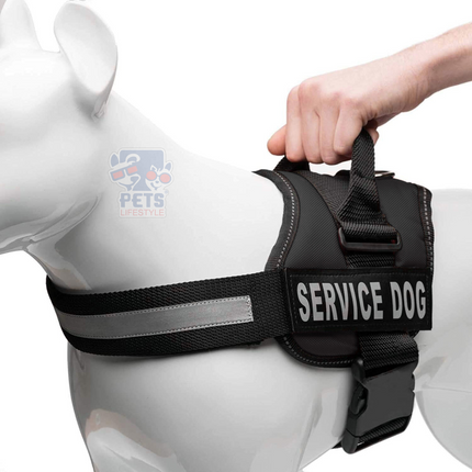 Canine Desk (Service Dog) Harness, Easy Control Chest Body Belt for Dogs