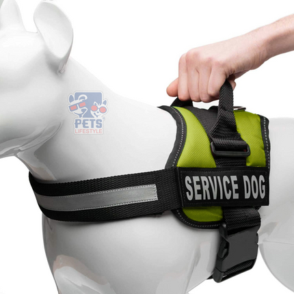 Canine Desk (Service Dog) Harness, Easy Control Chest Body Belt for Dogs
