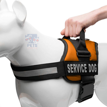 Canine Desk (Service Dog) Harness, Easy Control Chest Body Belt for Dogs