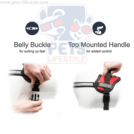 Canine Desk (Service Dog) Harness, Easy Control Chest Body Belt for Dogs