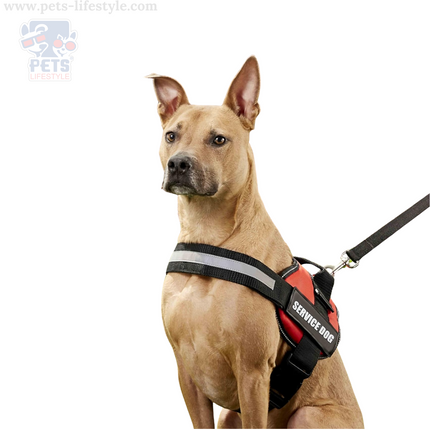 Canine Desk (Service Dog) Harness, Easy Control Chest Body Belt for Dogs