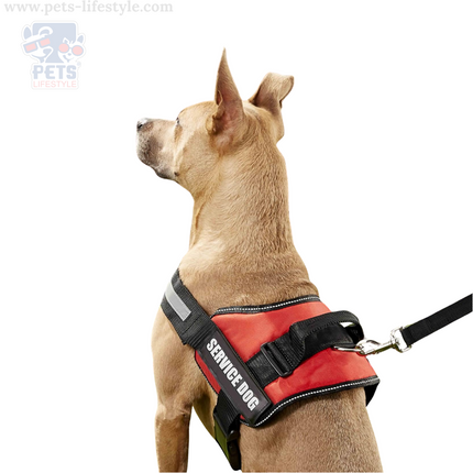 Canine Desk (Service Dog) Harness, Easy Control Chest Body Belt for Dogs