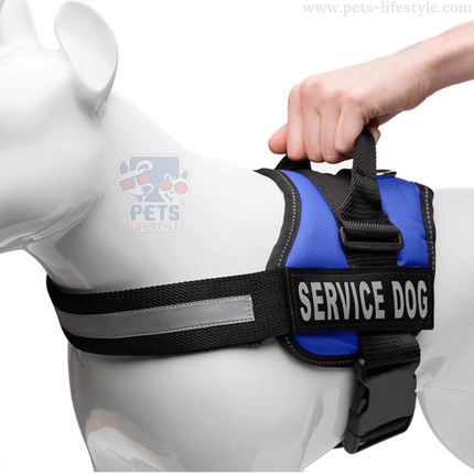 Canine Desk (Service Dog) Harness, Easy Control Chest Body Belt for Dogs