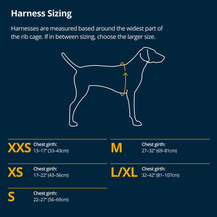 Ruffwear Switchbak™ Dog Harness – Blue Moon | Padded Adventure Harness with Storage Pockets