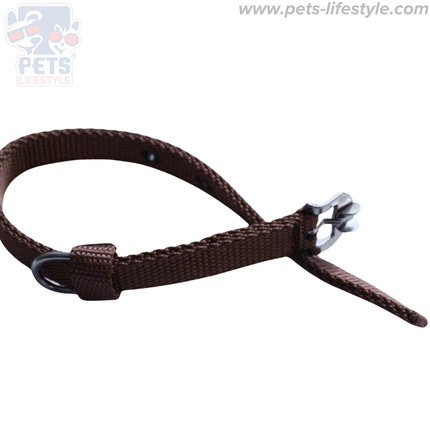 Kennel Nylon Dog Collar – Durable, Adjustable & Comfortable (Brown)
