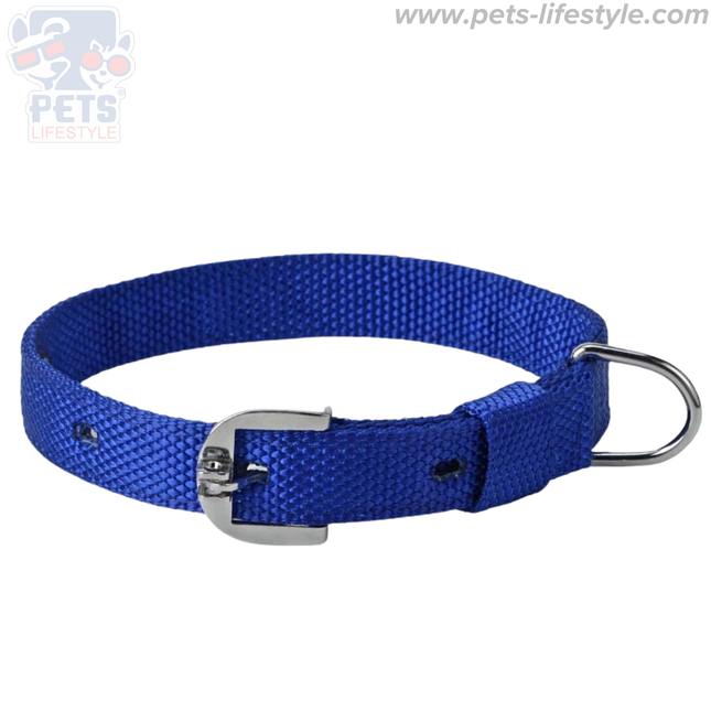 Kennel Nylon Dog Collar – Durable, Adjustable & Comfortable, For Dogs (BLUE)