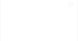 Pets Lifestyle