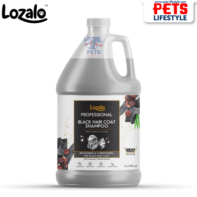 Lozalo Professional Black Hair Coat Shampoo 5L Brightening & Conditioning
