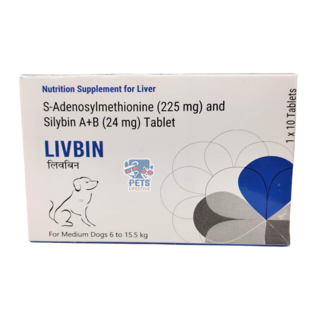 Medilogy Biotech LIVBIN Tablet For Medium Dogs 6 To 15.5 kg