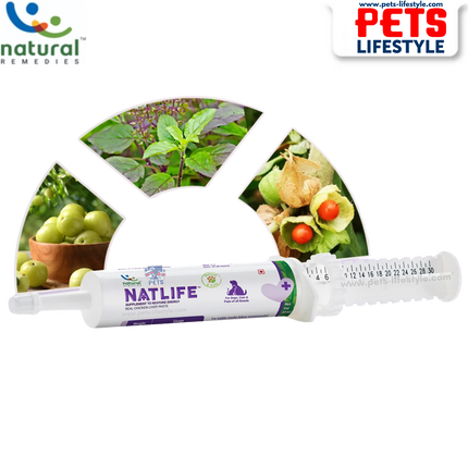 NATLIFE - Energy & Immunity Supplement