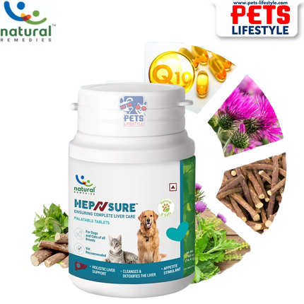 Natural Remedies HepNsure – Comprehensive Liver Support Supplement for Dogs and Cats