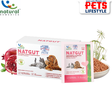 Natural Remedies NATGUT Sachet – Digestive Health Supplement (30 Sachets)