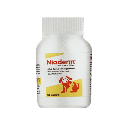 Vvaan Niaderm 500mg Caplets