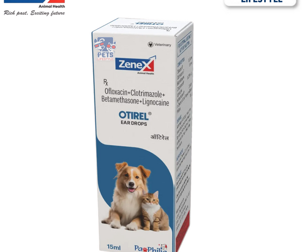 Clotrimazole Solution For Dogs Clotrimazole For Dogs And Cats