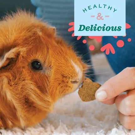 Oxbow Simple Rewards Baked Treats with Apple & Banana for Rabbits, Guinea Pigs & Small Animals – 85g