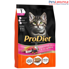 Kitten Food Cat