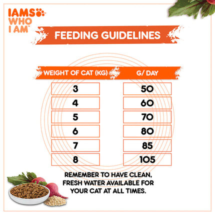 IAMS Proactive Healthy Adult (1+ Years) Dry Premium Cat Food with Chicken & Salmon Meal