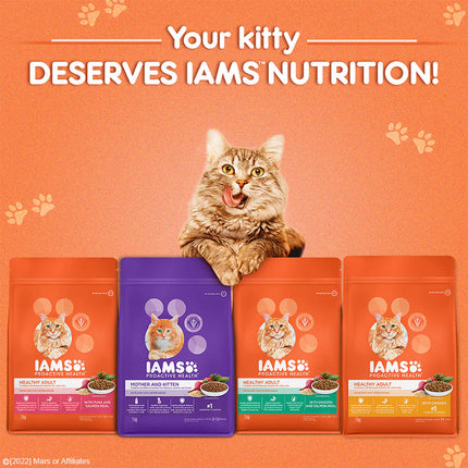 IAMS Proactive Healthy Adult (1+ Years) Dry Premium Cat Food with Chicken & Salmon Meal