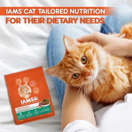 IAMS Proactive Healthy Adult (1+ Years) Dry Premium Cat Food with Chicken & Salmon Meal