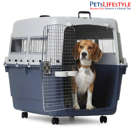 Canine Desk Flight Carrier (31.69 × 22.05 × 25.51 inches) IATA Approved Airline Travel Crate for Dogs (Extra Large)