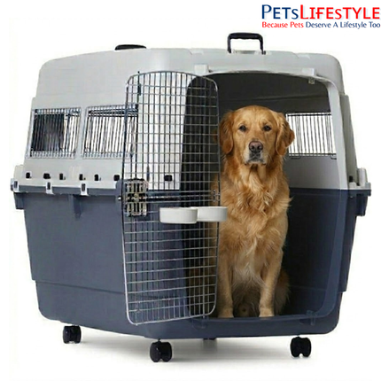 Canine Desk Flight Carrier (35.12 × 23.82 × 29.06 inches)IATA Approved Airline Travel Crate for Dogs (XXL)