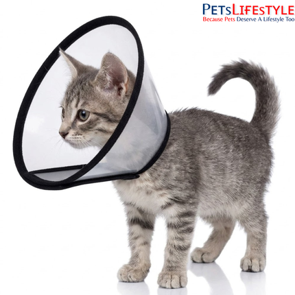 Elizabethan Collar for Dogs, Cats & Rabbits – Protective Recovery Cone (E-Collar)