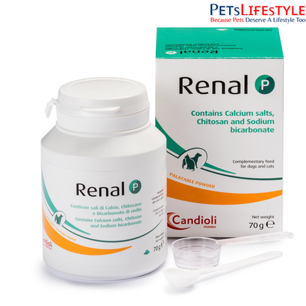 Renal P Powder Kidney Support Supplement for Dogs & Cats CKD, Phosphorus & Acidosis Control (70 g)