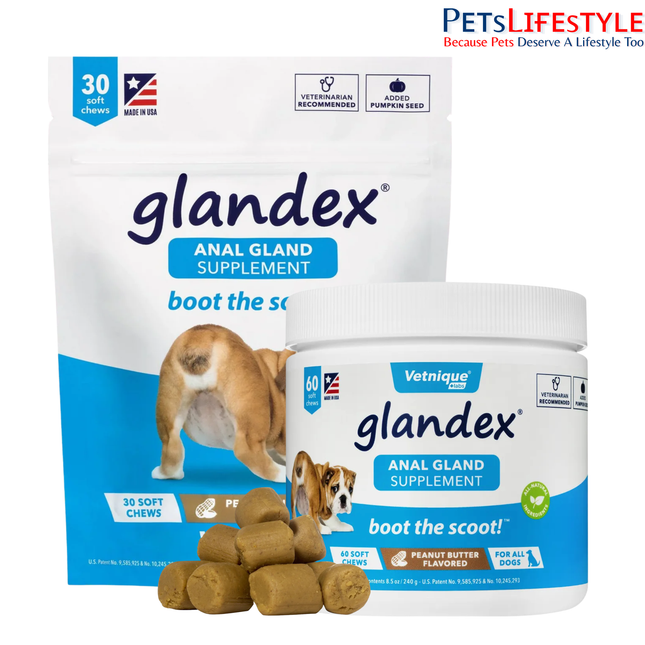Glandex Anal Gland Support Soft Chews for Dogs & Cats Boot the Scoot Formula