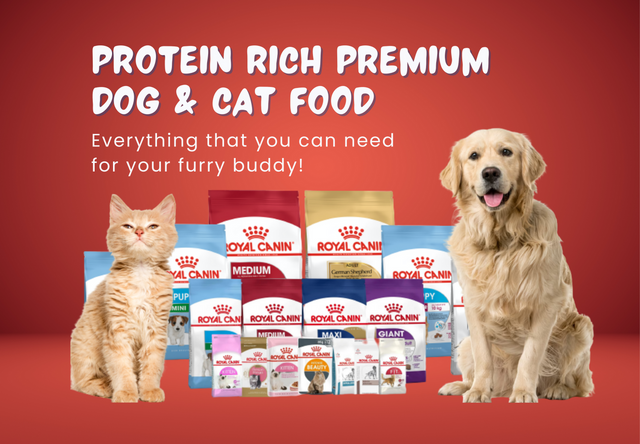 Pets Lifestyle Bhopal