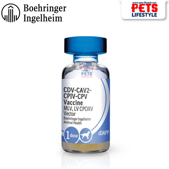 RECOMBITEK C4 (rDAPP)Canine Vaccine 4in1 Distemper + Parvo + Adeno + Parainfluenza Protection