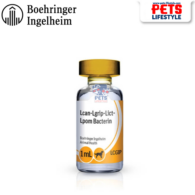 RECOMBITEK 4 Lepto Vaccine – Leptospira Canicola, Grippotyphosa, Icterohaemorrhagiae, Pomona – Boehringer Ingelheim – 1 ml