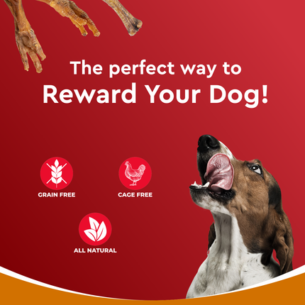Drools Dog Treats Dehydrated Real Chicken Chews Feet 70g