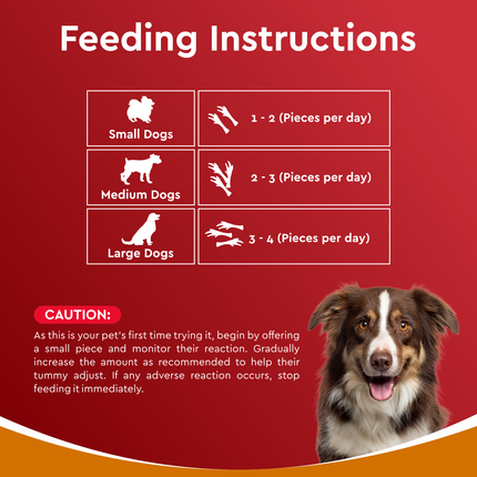 Drools Dog Treats Dehydrated Real Chicken Chews Feet 70g